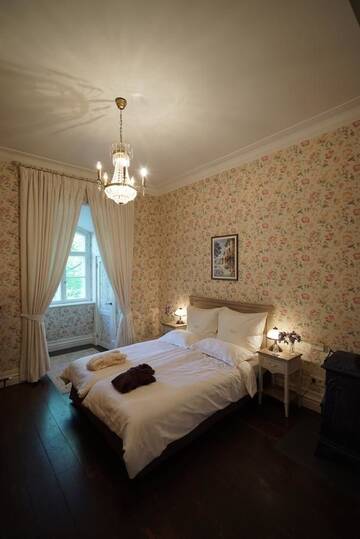 Фото номера Стандартный двухместный номер с 1 кроватью Отель Liepupe Manor г. Liepupe 3